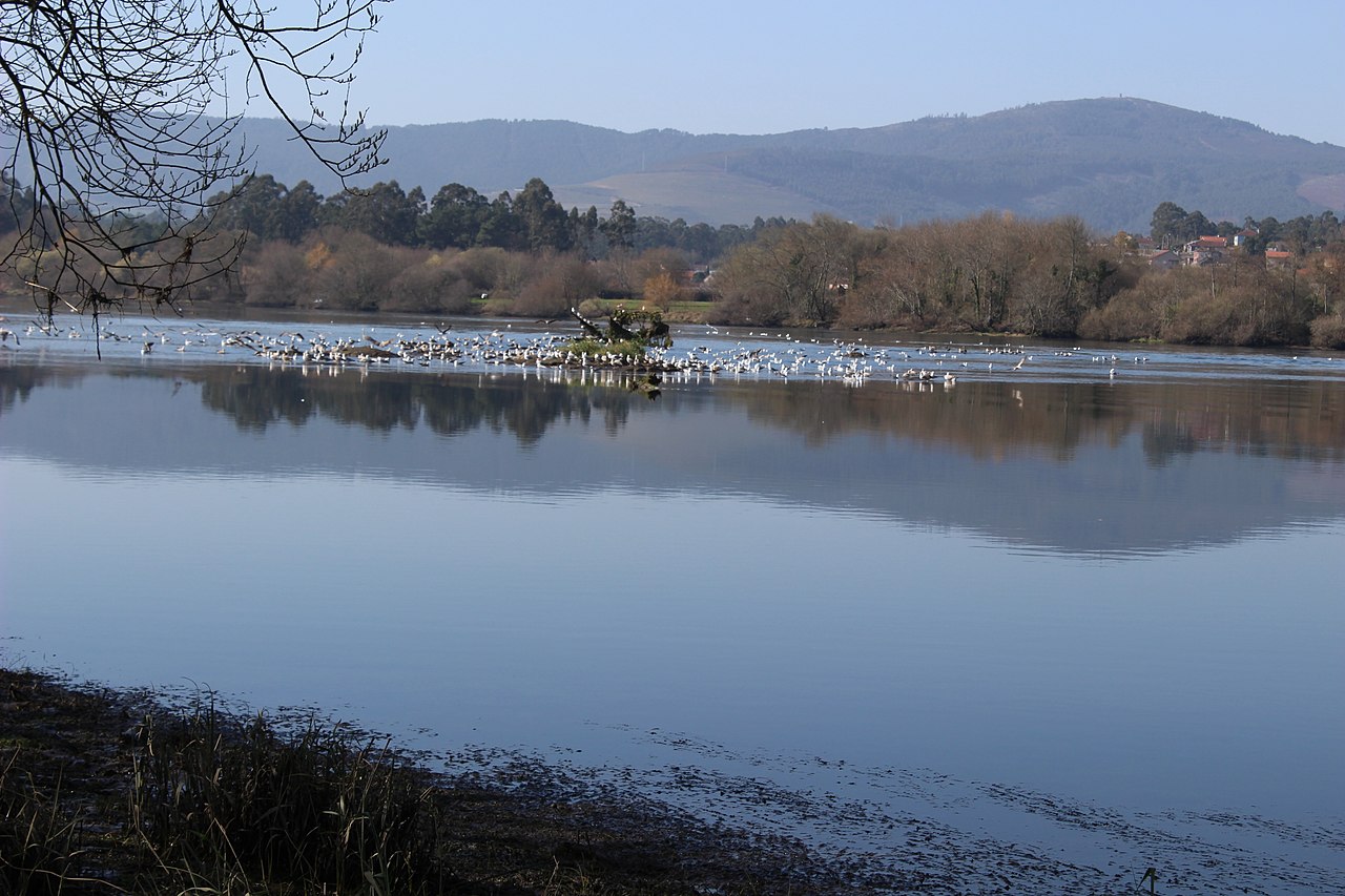 Estuários dos Rios Minho e Coura