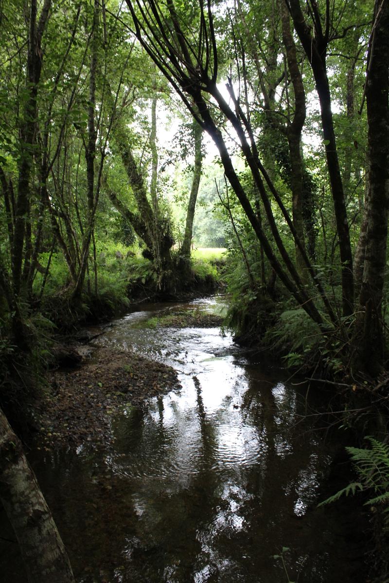 Senda río Mendo