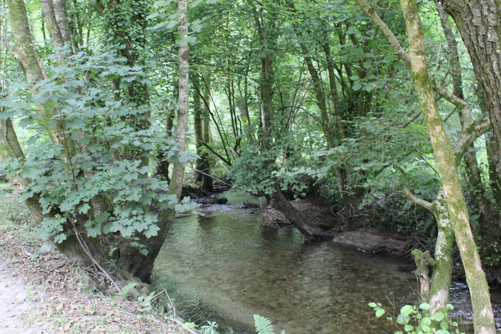 Sendero río Uma