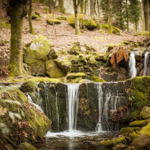 Parque Natural do Monte Aloia