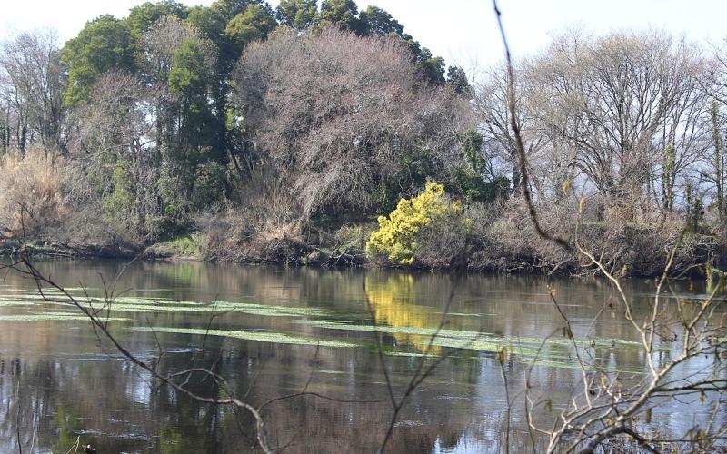 Estuários dos Rios Minho e Coura