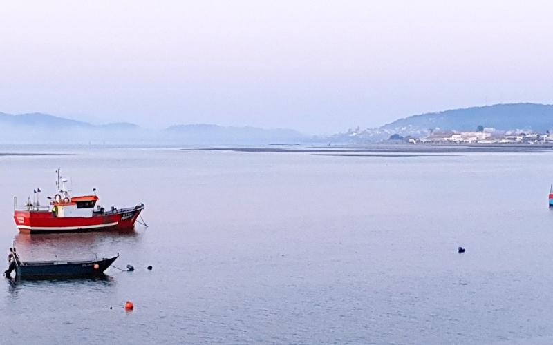 Estuários dos Rios Minho e Coura