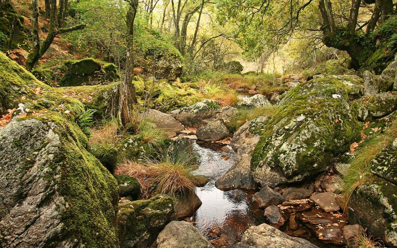 Parque Nacional Peneda-Gerês