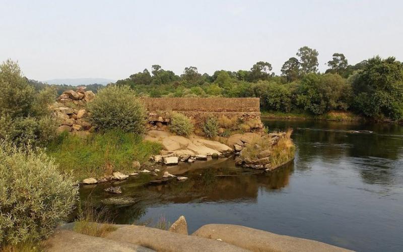 Pesqueiras del Río Miño