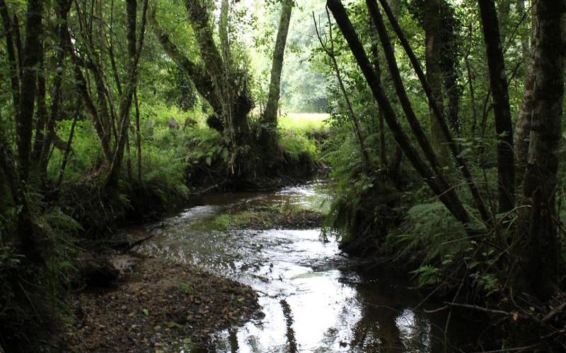 Senda río Mendo