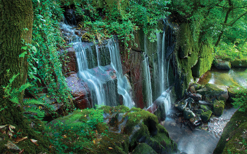 Cascata do Fojo