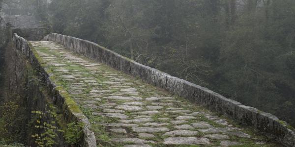 Ruta Circular Salvaterra