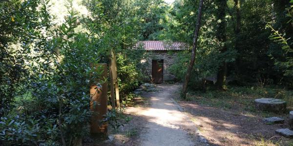 Sendero río Caselas