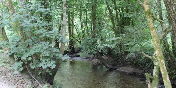 Sendero río Uma