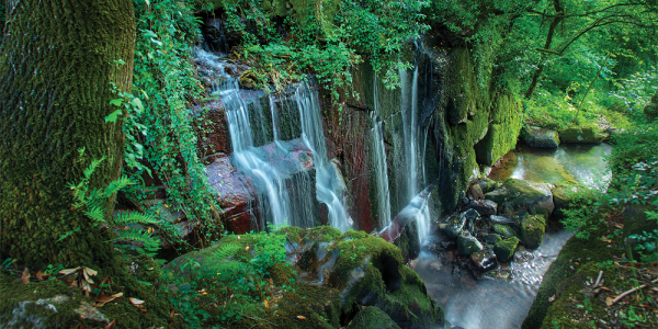 Cascata do Fojo